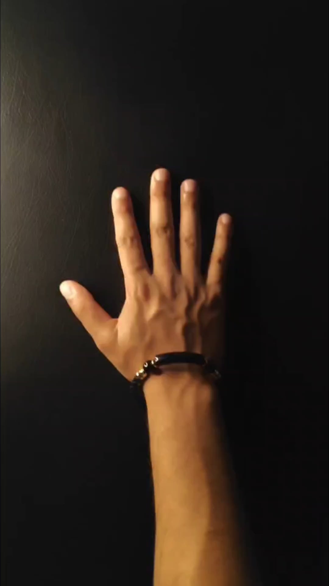 Charger la vidéo : 